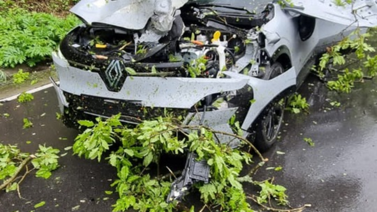 FW-EN: Wetter - Baum auf Fahrbahn und Ölspur - Foto: presseportal.de