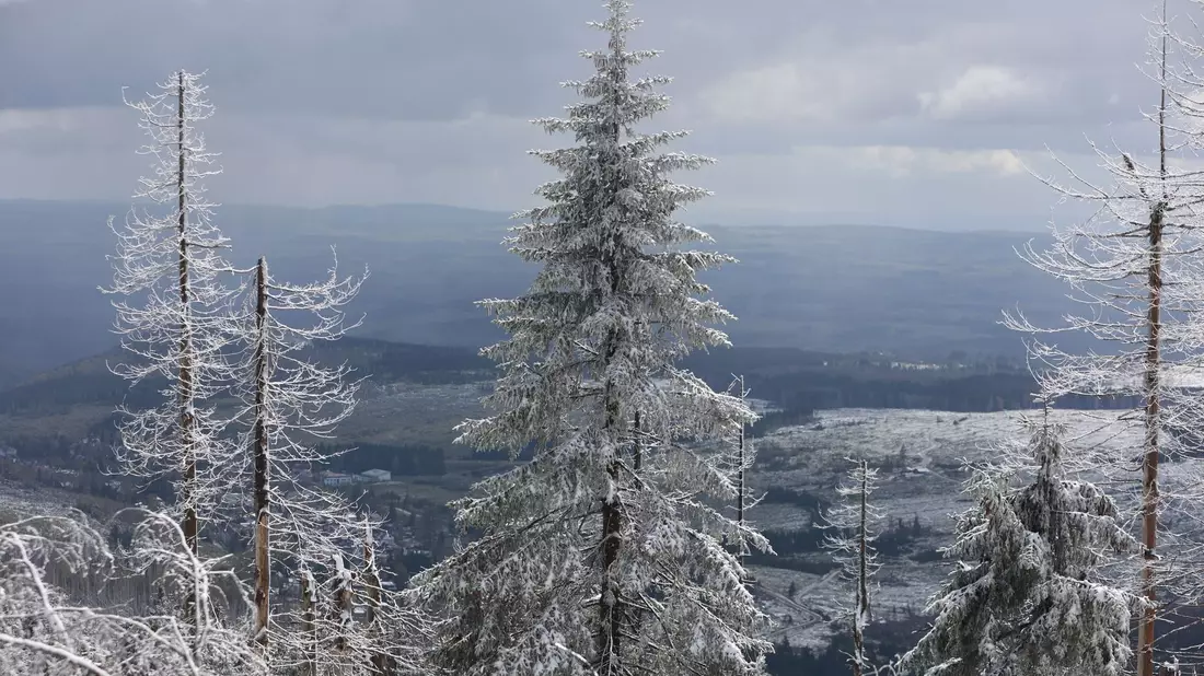 Im Mittelgebirge ist mit viel Neuschnee zu rechnen. - Bild: Matthias Bein/dpa