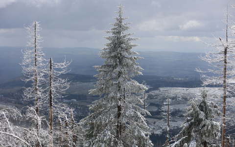Im Mittelgebirge ist mit viel Neuschnee zu rechnen. - Foto: Matthias Bein/dpa