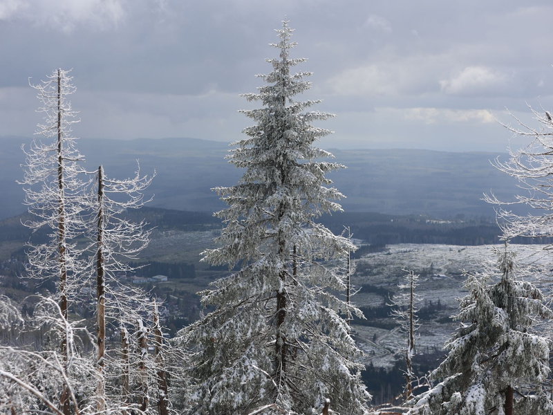 Im Mittelgebirge ist mit viel Neuschnee zu rechnen. - Foto: Matthias Bein/dpa