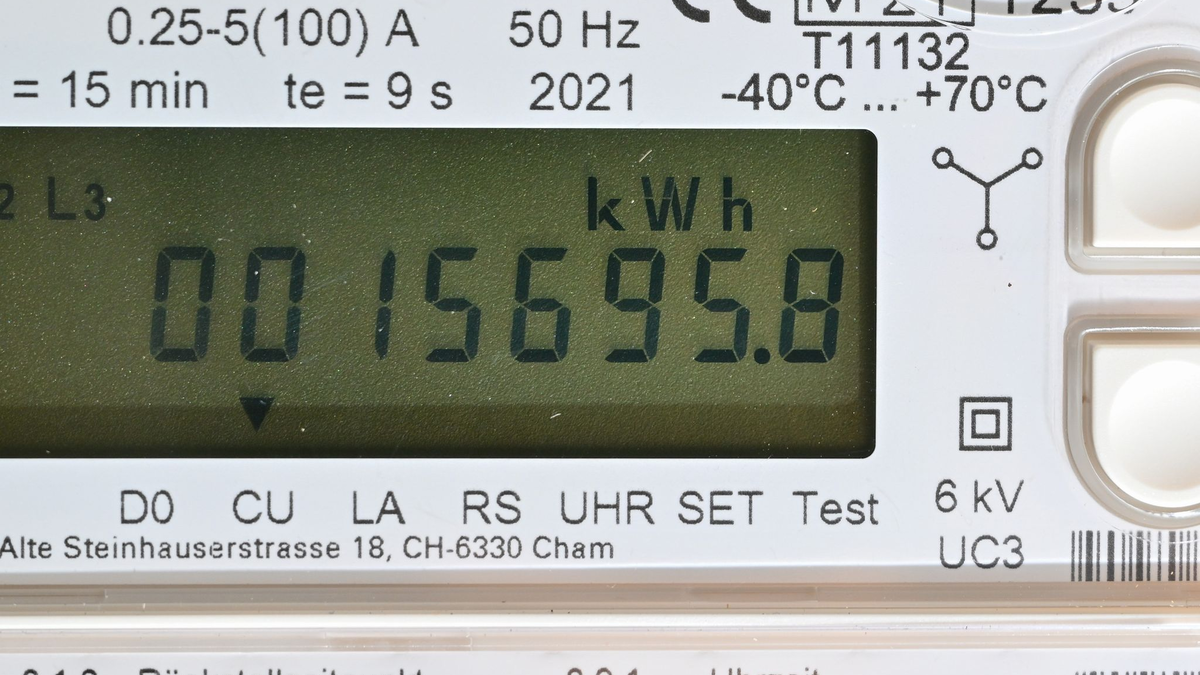 EU-weit hat sich der Strom durchschnittlich um gut ein Viertel verteuert. - Foto: Patrick Pleul/dpa