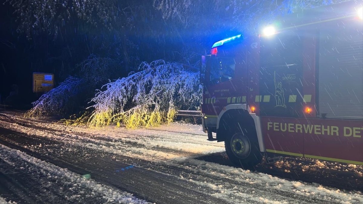 FW-DT: Rund 50 Einsätze durch starken Schneefall - Foto: presseportal.de