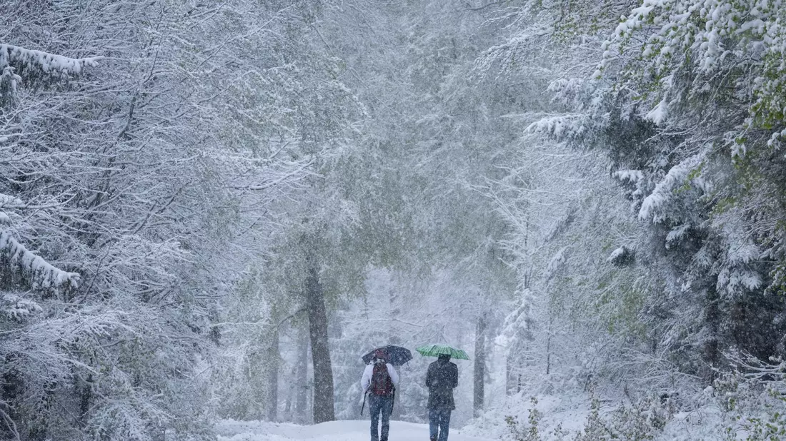 Spaziergänger laufen über einen verschneiten Wanderweg im Taunus. - Bild: Boris Roessler/dpa