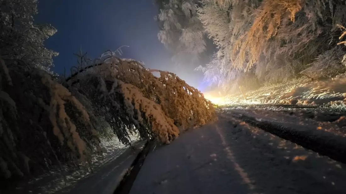 FW Horn-Bad Meinberg: Nächtlicher Schneefall lässt Bäume umstürzen und Äste abknicken - Feuerwehr im Dauereinsatz - Bild: presseportal.de