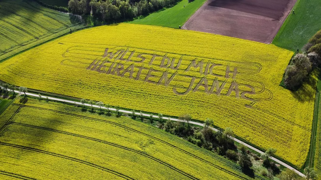 «Willst Du mich heiraten, Jana?», steht in einem Rettichfeld bei Rauschenberg im Landkreis Marburg-Biedenkopf. - Bild: Nadine Weigel/dpa