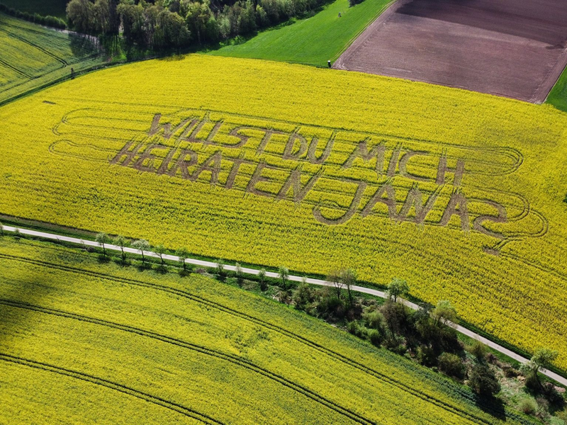 «Willst Du mich heiraten, Jana?», steht in einem Rettichfeld bei Rauschenberg im Landkreis Marburg-Biedenkopf. - Foto: Nadine Weigel/dpa