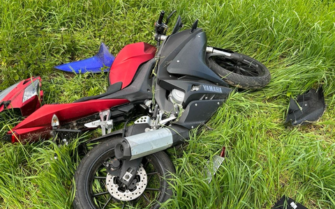 POL-PDLD: Edenkoben - Von der Fahrbahn abgekommen - Foto: presseportal.de