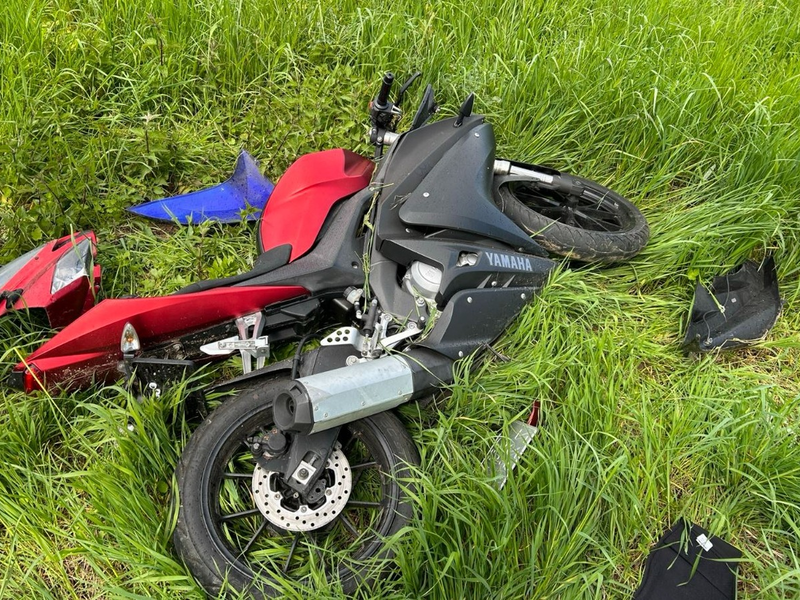 POL-PDLD: Edenkoben - Von der Fahrbahn abgekommen - Foto: presseportal.de