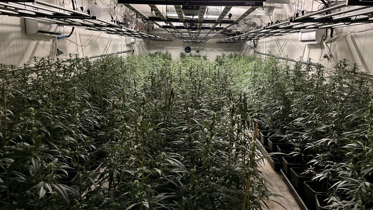 POL-K: 240423-3-K/REK/RBK/SU/NR Durchsuchungsbeschlüsse bei mutmaßlichen Drogenhändlern vollstreckt - Festnahme - Foto: presseportal.de