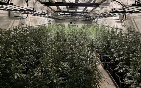 POL-K: 240423-3-K/REK/RBK/SU/NR Durchsuchungsbeschlüsse bei mutmaßlichen Drogenhändlern vollstreckt - Festnahme - Foto: presseportal.de