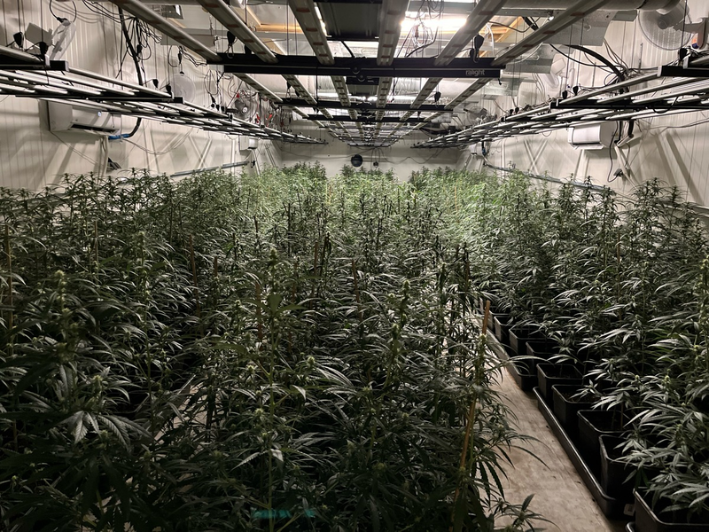 POL-K: 240423-3-K/REK/RBK/SU/NR Durchsuchungsbeschlüsse bei mutmaßlichen Drogenhändlern vollstreckt - Festnahme - Foto: presseportal.de