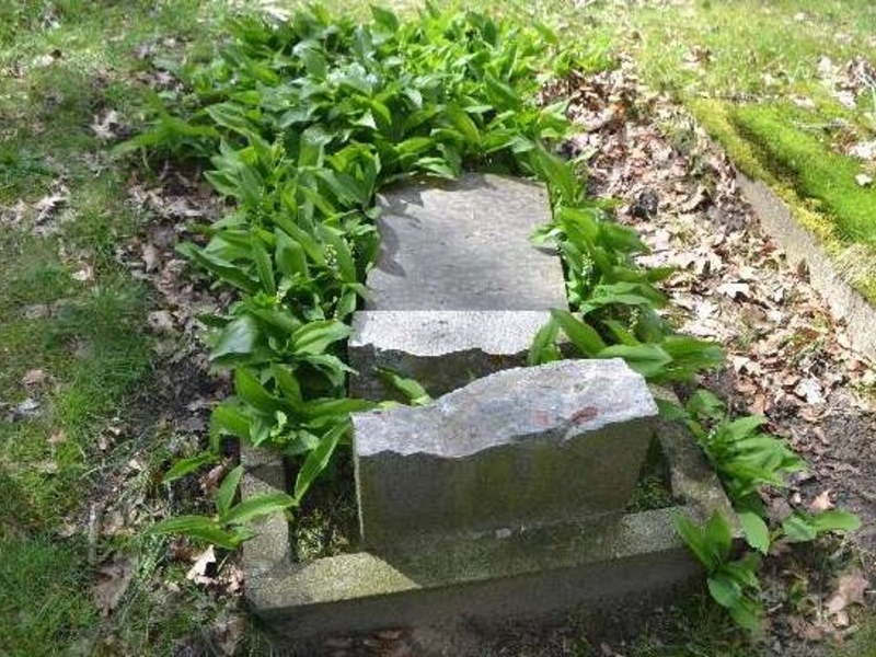 POL-EL: Sögel - Grabsteine beschädigt - Foto: presseportal.de