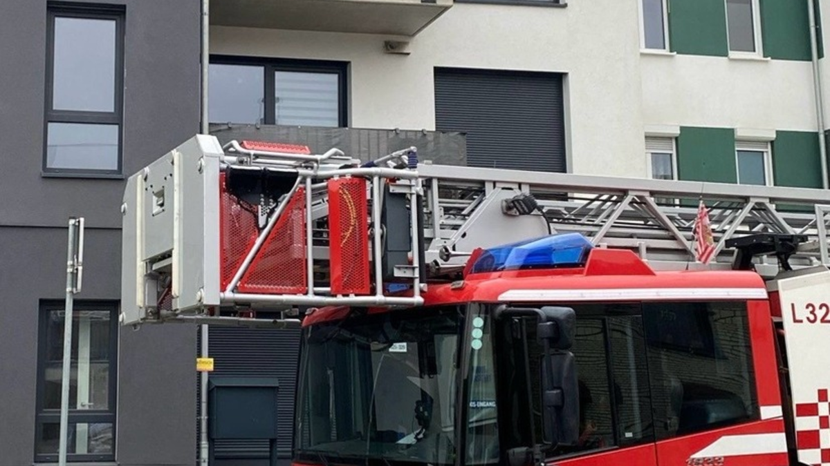 FW-HB: Kellerbrand / Zwei Personen und zwei Katzen gerettet - Foto: presseportal.de