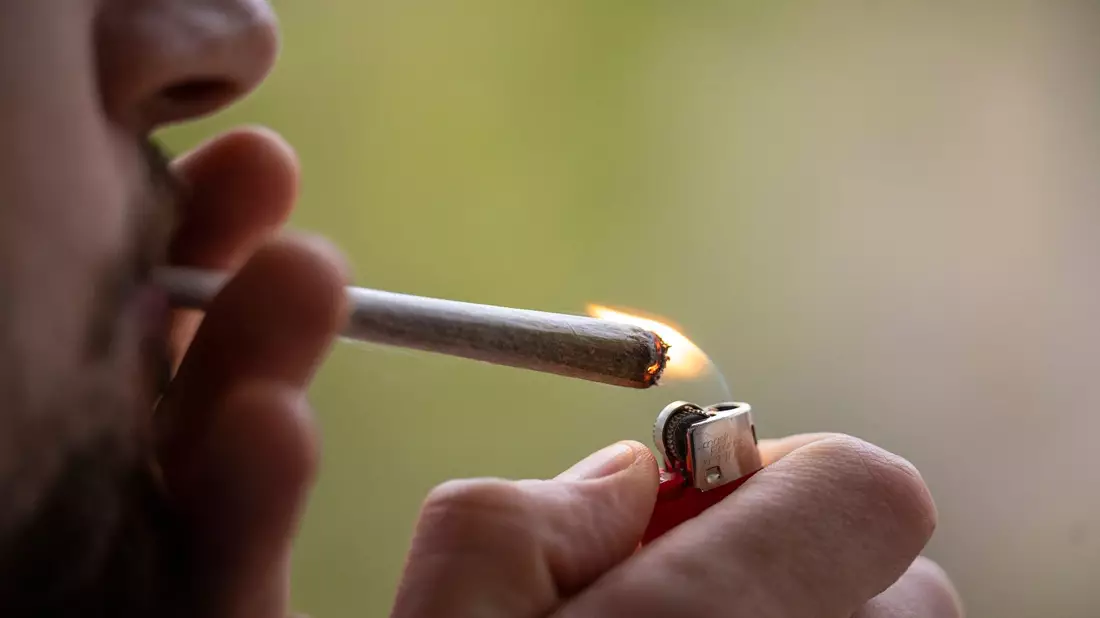 Seit dem 1. April ist in Deutschland der Besitz, private Anbau und Konsum bestimmter Mengen Cannabis für Erwachsene erlaubt. - Bild: Hannes P Albert/dpa