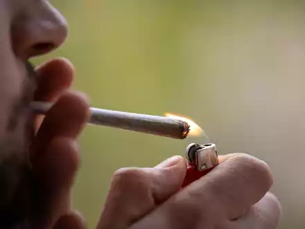 Seit dem 1. April ist in Deutschland der Besitz, private Anbau und Konsum bestimmter Mengen Cannabis für Erwachsene erlaubt. - Foto: Hannes P Albert/dpa