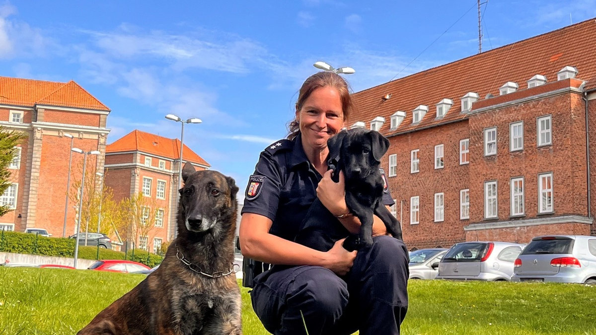 POL-KI: 240424.1 Kiel: Brandmittelspürhündin Naira hat ihre Ausbildung bei der Polizei begonnen - Foto: presseportal.de