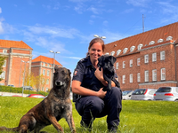 POL-KI: 240424.1 Kiel: Brandmittelspürhündin Naira hat ihre Ausbildung bei der Polizei begonnen - Foto: presseportal.de