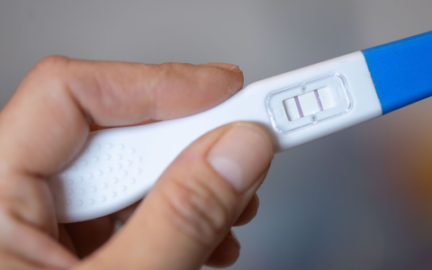 Im vergangenen Jahr gab es in Deutschland 106.000 Schwangerschaftsabbrüche (Symbolbild). - Foto: Hendrik Schmidt/dpa