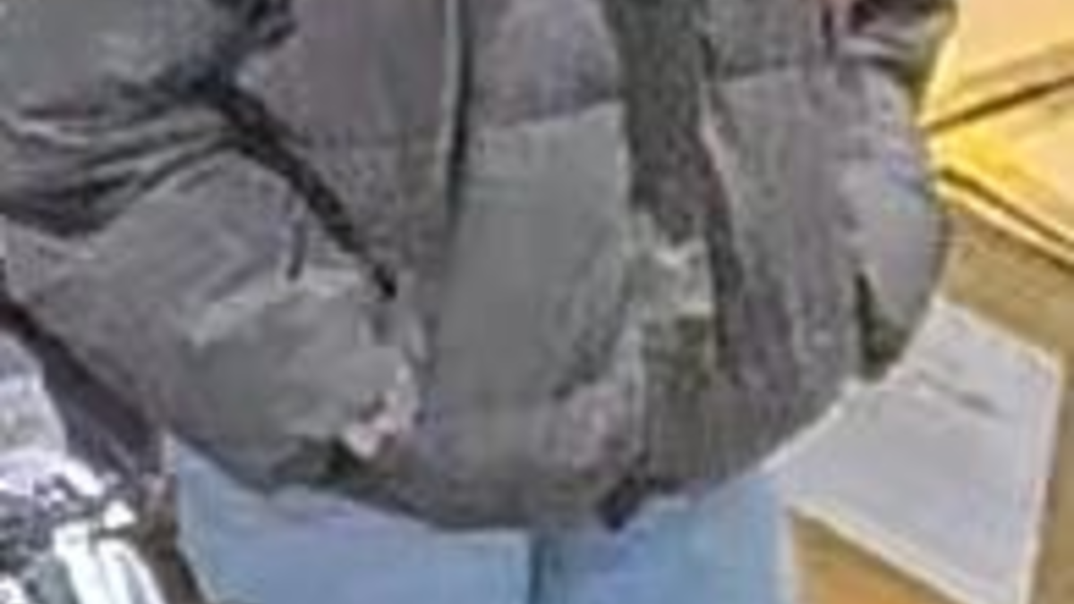 POL-BS: Polizei Salzgitter fahndet mit einem Lichtbild nach einer Tatverdächtigen - Foto: presseportal.de