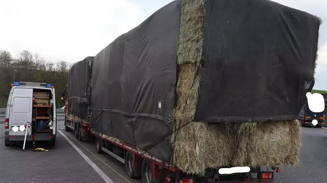 POL-PPTR: Verstöße gegen Maße, zu schwere Holztransporte und Verstöße bei Abfalltransporten - Bild: presseportal.de