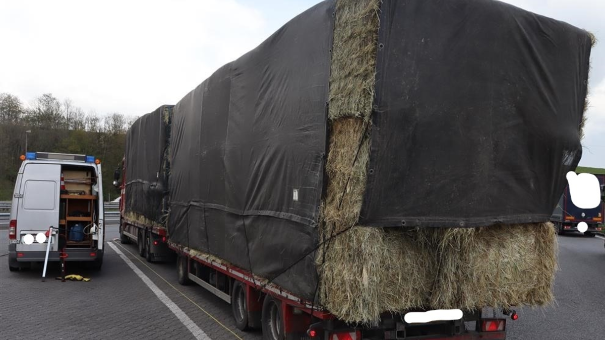 POL-PPTR: Verstöße gegen Maße, zu schwere Holztransporte und Verstöße bei Abfalltransporten - Foto: presseportal.de