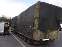 POL-PPTR: Verstöße gegen Maße, zu schwere Holztransporte und Verstöße bei Abfalltransporten - Foto: presseportal.de