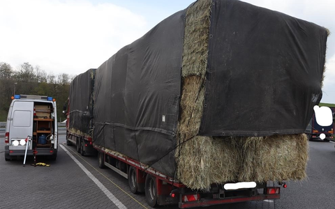 POL-PPTR: Verstöße gegen Maße, zu schwere Holztransporte und Verstöße bei Abfalltransporten - Foto: presseportal.de