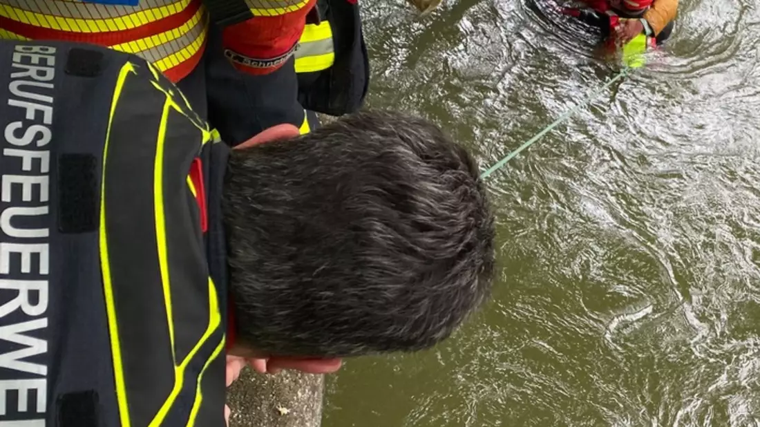 FW-M: Dramatische Minuten an der Isar (Isarvorstadt) - Bild: presseportal.de