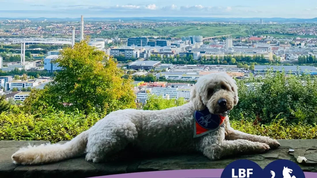 Barrierefreiheit großgeschrieben: Der SWR beim Louis Braille Festival in Stuttgart (3. bis 5. Mai 2024) - Bild: presseportal.de