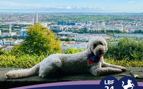 Barrierefreiheit großgeschrieben: Der SWR beim Louis Braille Festival in Stuttgart (3. bis 5. Mai 2024) - Foto: presseportal.de Barrierefreiheit großgeschrieben: Der SWR beim Louis Braille Festival in Stuttgart (3. bis 5. Mai 2024) - Foto: presseportal.de