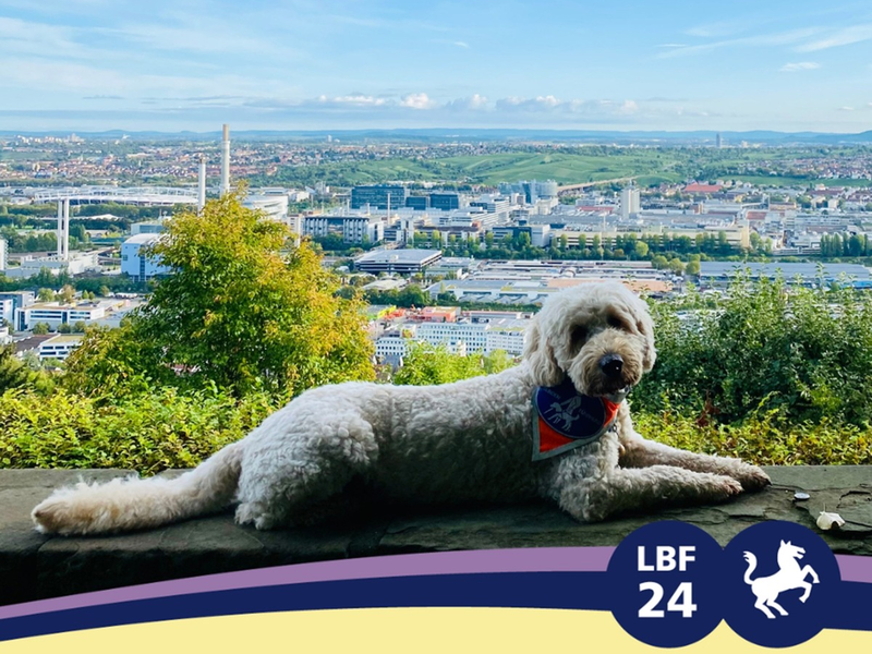 Barrierefreiheit großgeschrieben: Der SWR beim Louis Braille Festival in Stuttgart (3. bis 5. Mai 2024) - Foto: presseportal.de