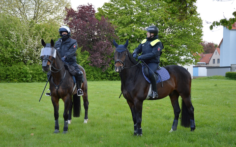 POL-SZ: Pressemitteilung der Polizeiinspektion SZ/PE/WF vom 26.04.2024. BILDER IM ANHANG - Foto: presseportal.de
