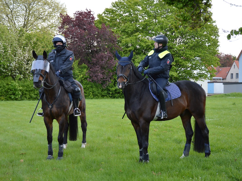 POL-SZ: Pressemitteilung der Polizeiinspektion SZ/PE/WF vom 26.04.2024. BILDER IM ANHANG - Foto: presseportal.de