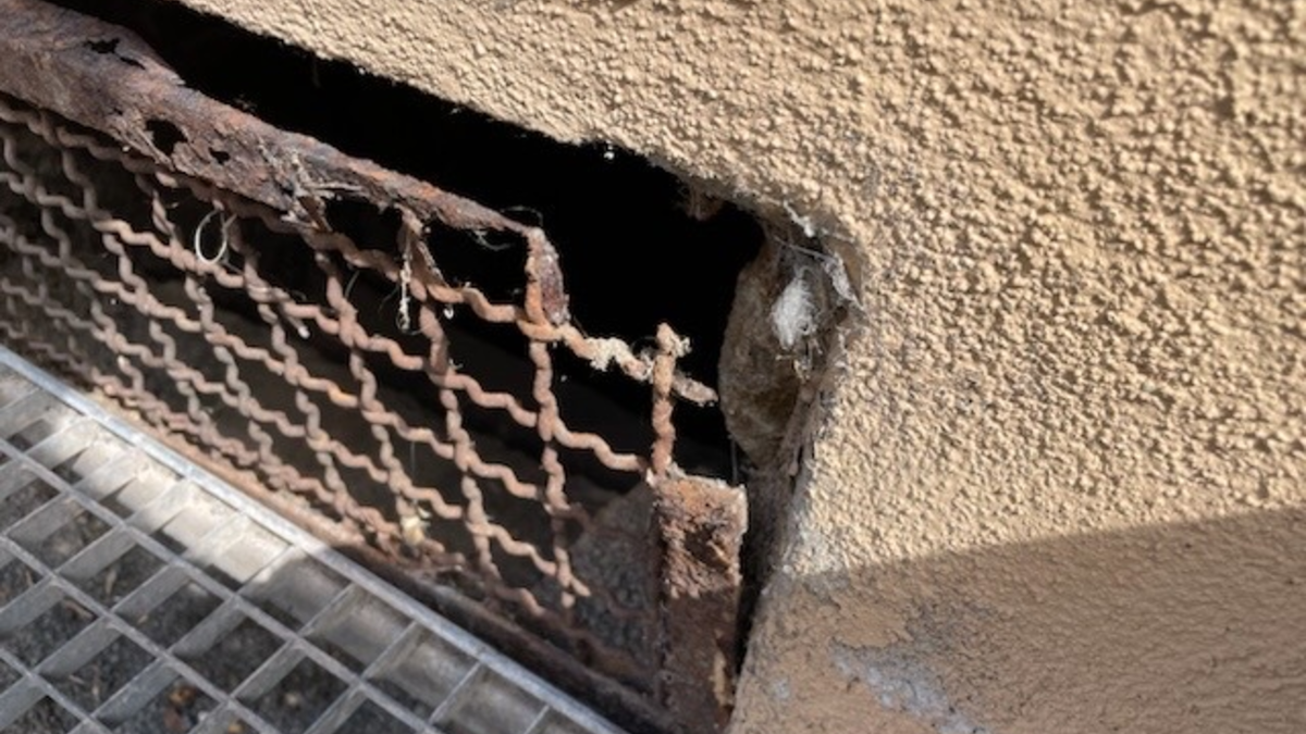 POL-PDTR: Diebstahl einer Kommode - Einstieg durch Luke an Bürgersteig - Foto: presseportal.de