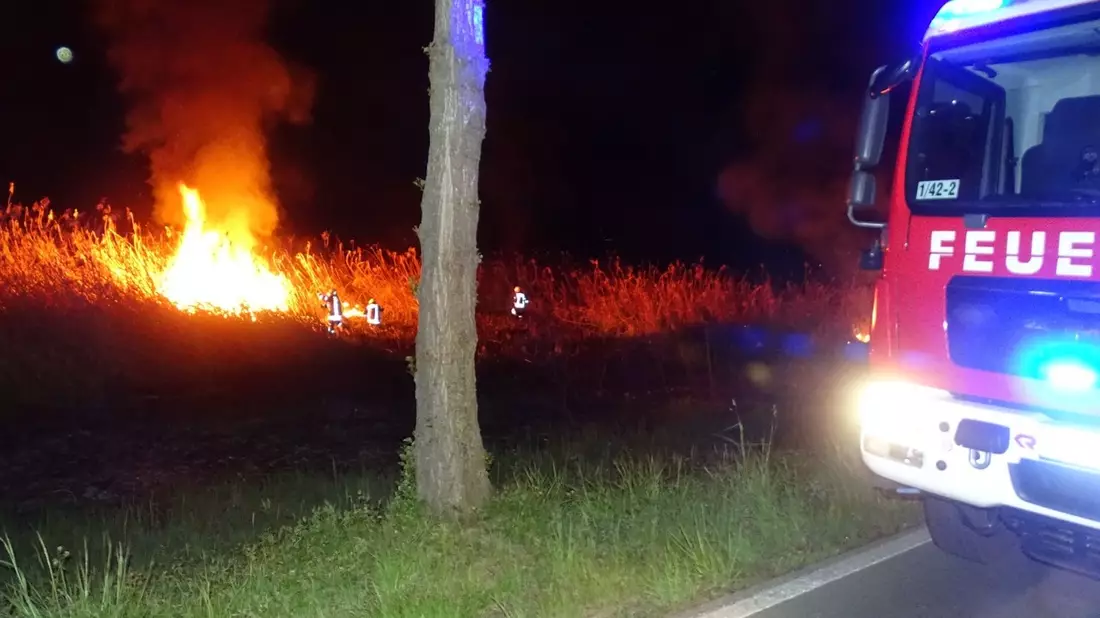 FW Reichenau: Feuerwehr hat Schilfbrand schnell gelöscht, Reichenau L221, 28.04.2024 - Bild: presseportal.de
