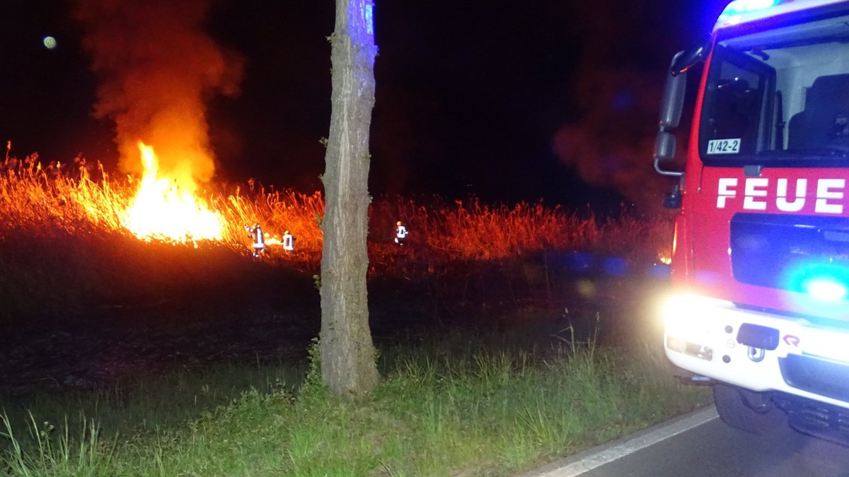 FW Reichenau: Feuerwehr hat Schilfbrand schnell gelöscht, Reichenau L221, 28.04.2024 - Foto: presseportal.de