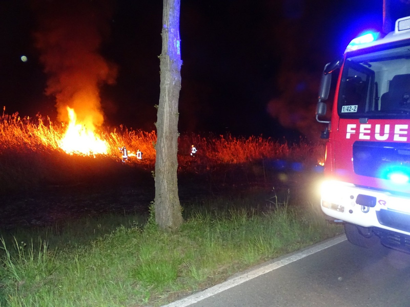 FW Reichenau: Feuerwehr hat Schilfbrand schnell gelöscht, Reichenau L221, 28.04.2024 - Foto: presseportal.de