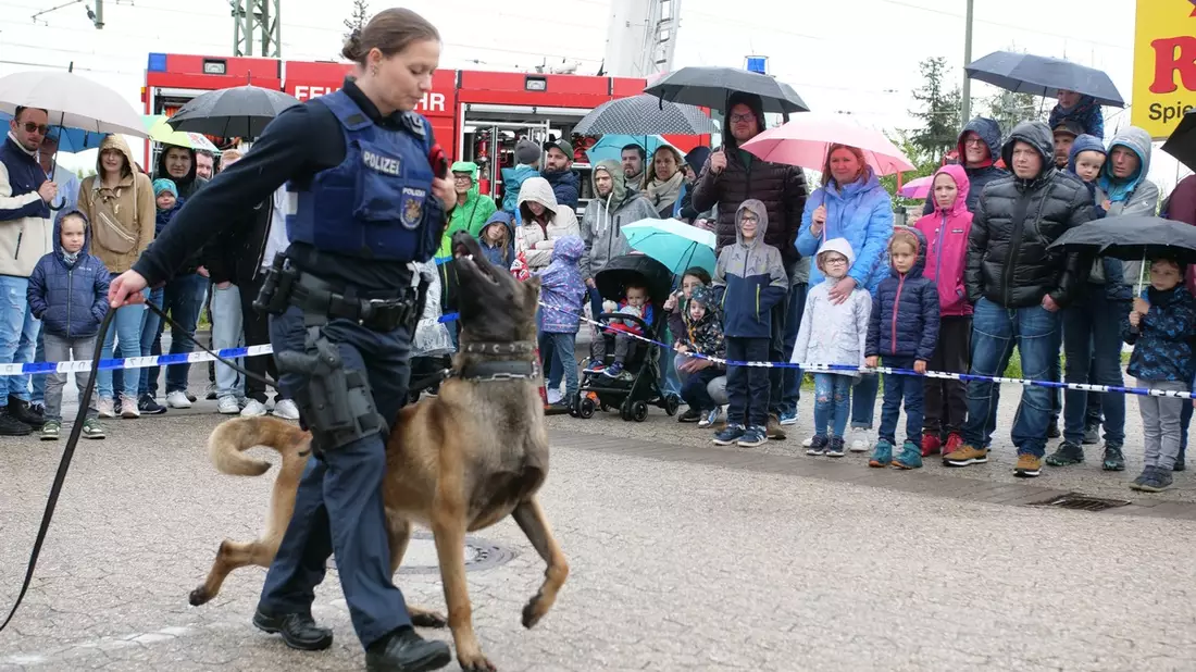 POL-PPWP: Mehr als 2.000 Besucher beim Tag der offenen Tür der Polizei - Bild: presseportal.de