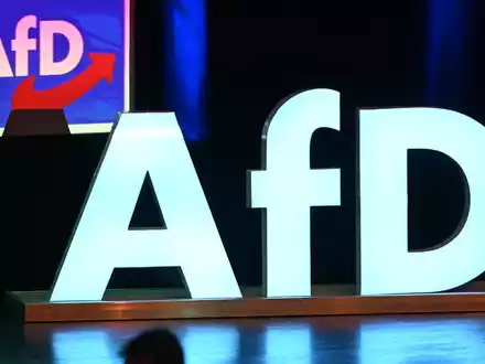 Die AfD legte in der Wählergunst im vergangenen Jahr deutlich zu. - Foto: Bernd Weißbrod/dpa