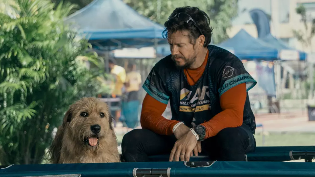 Mark Wahlberg als Michael in einer Szene des Films «Arthur der Große». Der Schauspieler setzt sich für die Adoption von Haustieren ein. - Bild: Carlos Rodriguez/Lionsgate/dpa