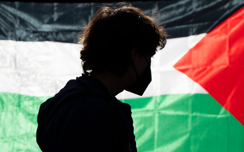 Die Demonstrierenden kritisieren das Vorgehen Israels im Gaza-Krieg und fordern Solidarität mit den Palästinensern. - Foto: Jenny Kane/AP/dpa