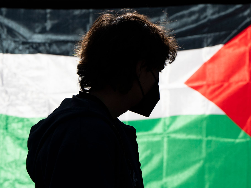 Die Demonstrierenden kritisieren das Vorgehen Israels im Gaza-Krieg und fordern Solidarität mit den Palästinensern. - Foto: Jenny Kane/AP/dpa