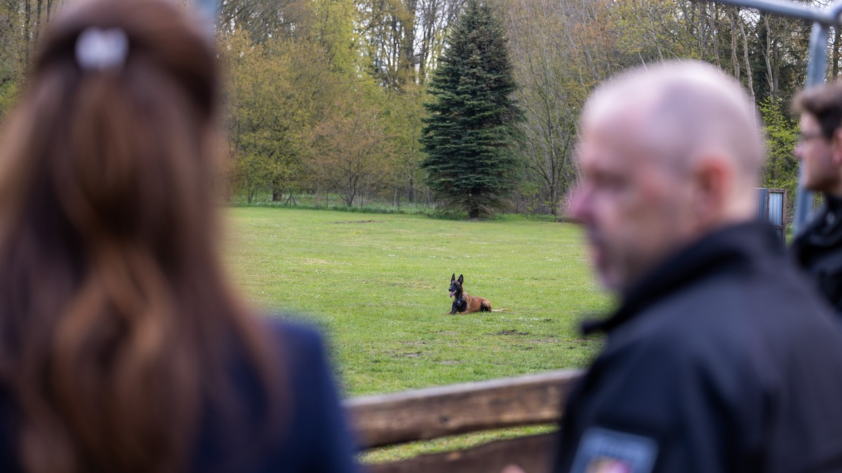 POL-NMS: 240430-1-pdnms Einsatz auf vier Pfoten: Hoher Besuch bei den Diensthunden - Foto: presseportal.de