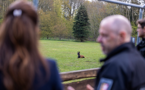 POL-NMS: 240430-1-pdnms Einsatz auf vier Pfoten: Hoher Besuch bei den Diensthunden - Foto: presseportal.de POL-NMS: 240430-1-pdnms Einsatz auf vier Pfoten: Hoher Besuch bei den Diensthunden - Foto: presseportal.de