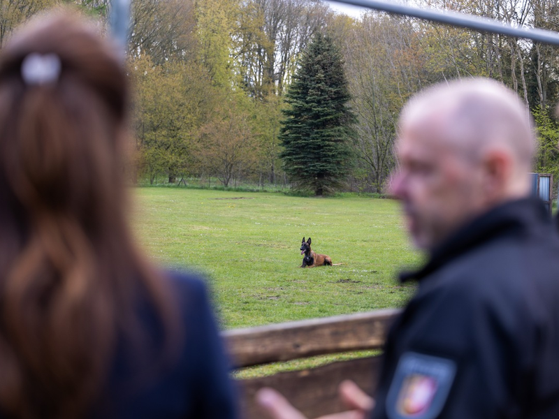 POL-NMS: 240430-1-pdnms Einsatz auf vier Pfoten: Hoher Besuch bei den Diensthunden - Foto: presseportal.de