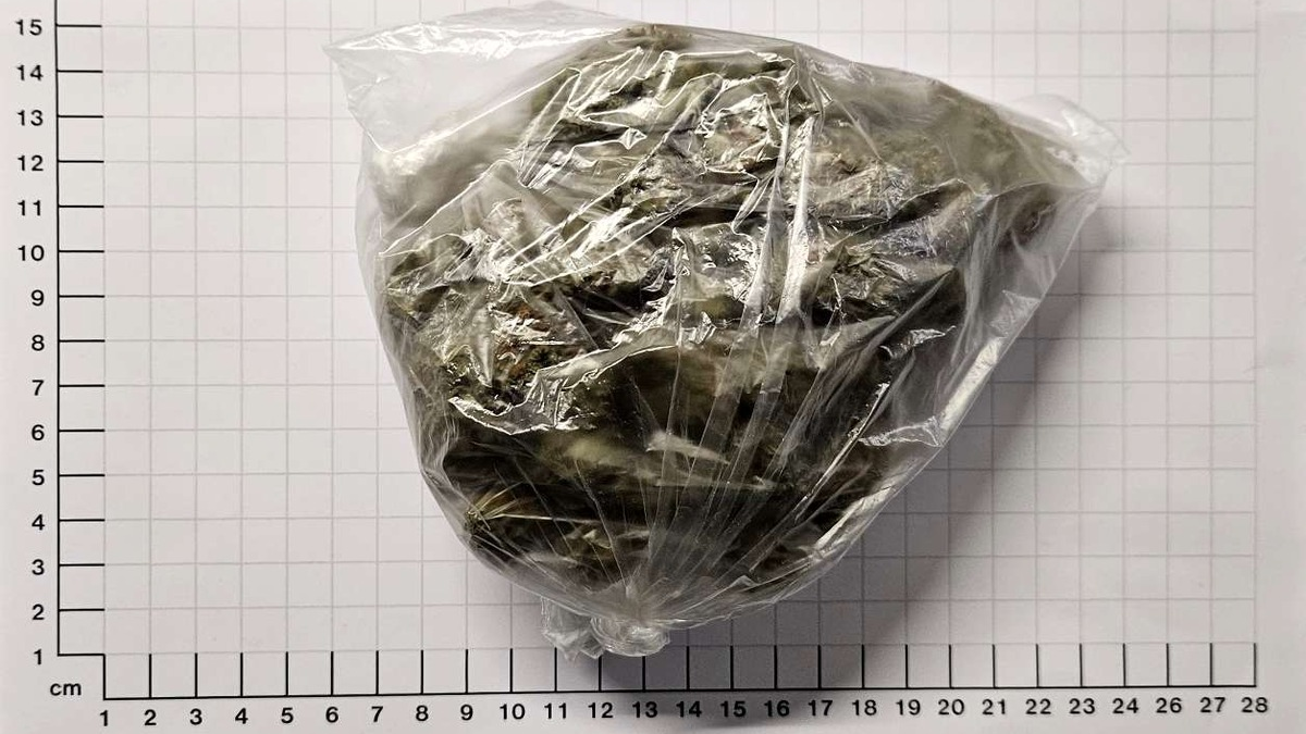 BPOL NRW: Bundespolizisten stellen 5 Drogendelikte in einer Stunde fest - Foto: presseportal.de