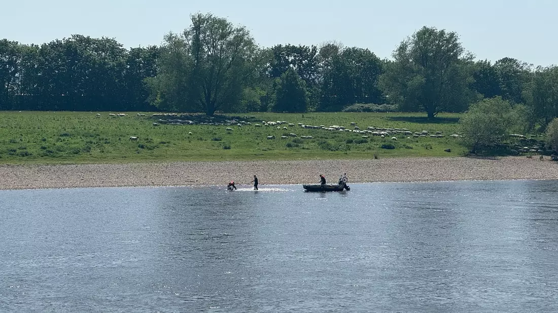 FW Dresden: Personenrettung aus der Elbe - Bild: presseportal.de