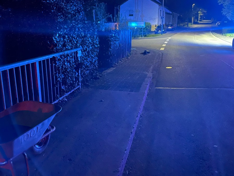 POL-PDTR: Hexenstreich? - Gefährlicher Eingriff in den Straßenverkehr - Foto: presseportal.de