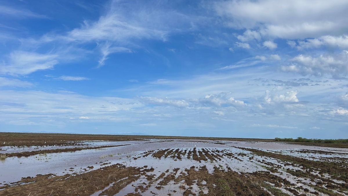 Kenia: Nothilfe für Menschen in Überschwemmungsgebieten gestartet / Die Johanniter stellen 50.000 Euro für Soforthilfe zur Verfügung - Foto: presseportal.de