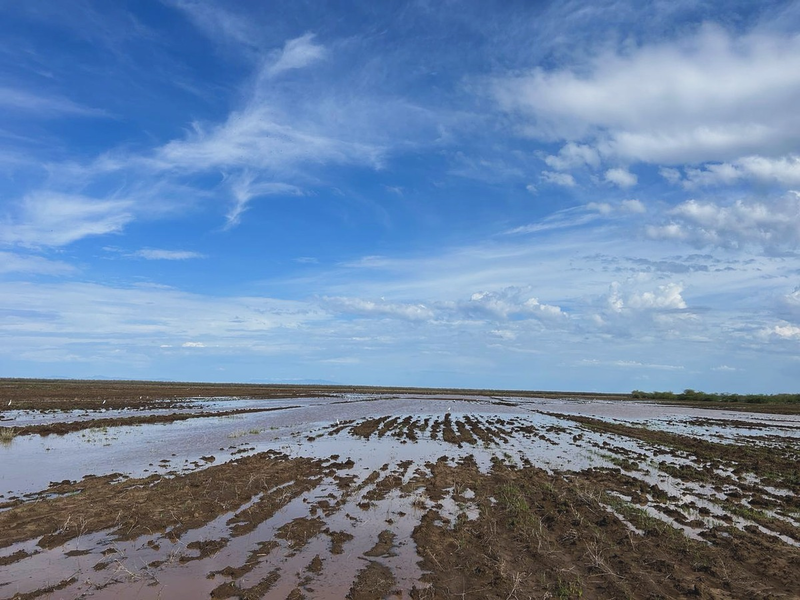 Kenia: Nothilfe für Menschen in Überschwemmungsgebieten gestartet / Die Johanniter stellen 50.000 Euro für Soforthilfe zur Verfügung - Foto: presseportal.de